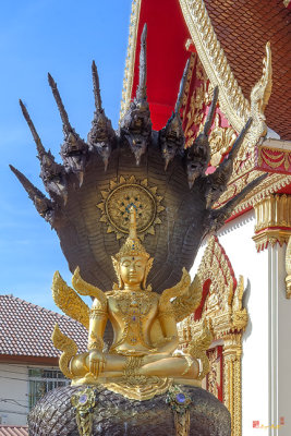 Wat Klang Buddha Image on Naga Throne (DTHNP0122)
