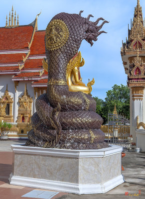 Wat Klang Naga Throne of Buddha Image (DTHNP0123)