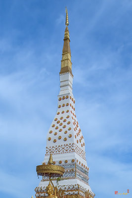 Wat Mahathat Phra That Nakorn Chedi Pinnacle (DTHNP0146)