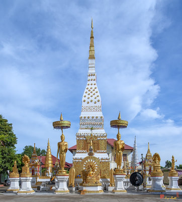 Wat Mahathat Phra That Nakorn Chedi (DTHNP0147)