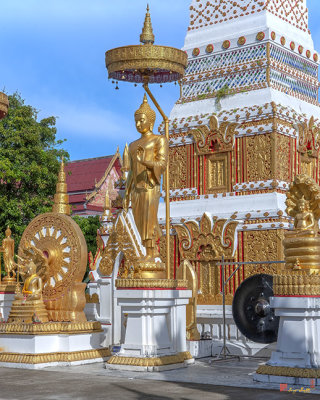 Wat Mahathat Phra That Nakorn Chedi Buddha Images (DTHNP0150)