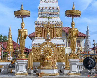 Wat Mahathat Phra That Nakorn Chedi Buddha Images (DTHNP0151)