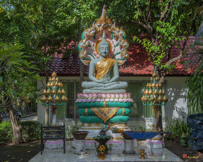 Wat Mahathat Phra Pang Nak Prok (DTHNP0167)