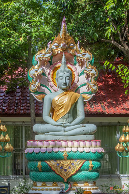 Wat Mahathat Phra Pang Nak Prok (DTHNP0168)