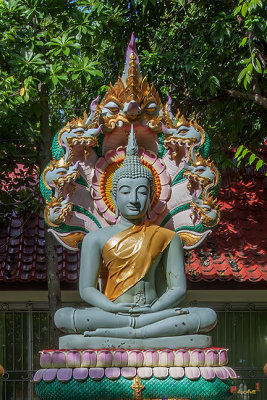Wat Mahathat Phra Pang Nak Prok (DTHNP0169)