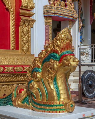 Wat Phra In Plaeng Phra Ubosot Makara and Naga Guardian (DTHNP0194)