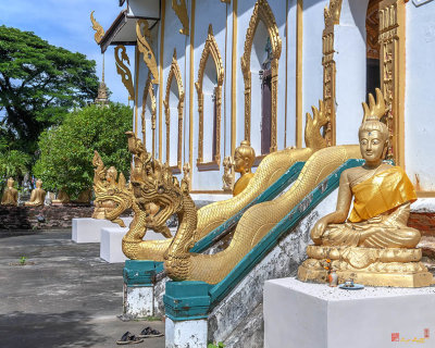 Wat Si Chan Trawas Phra Ubosot Buddha Images and Naga Guardians  (DTHNP0226)