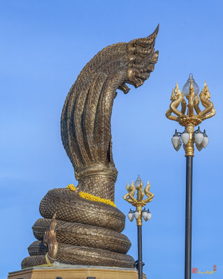 Phanom Naga Park Phaya Si Sattanakharat (DTHNP0306)