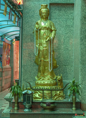 Wat Chamni Hatthakan Phra Ubosot Quan Yin Shrine (DTHB2241)