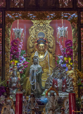 Wat Chaimongkol Thai-Chinese Shrine Quan Yin Altar (DTHB2262)