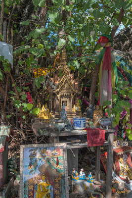 Wat Pathum Khongkha Spirit House Under the Bodhi Tree (DTHB2325)