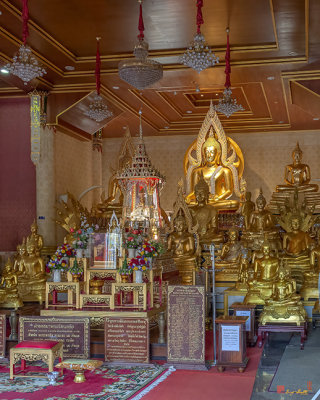 Wat Soi Thong Phra Mahathat Chedi Si Soi Thong Buddha Images (DTHB2425)