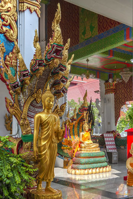 Wat Nak Prok Phra Wihan Buddha Images and Multi-headed Naga Guardians (DTHB2493)