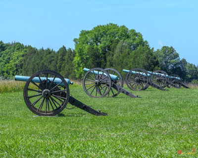 Cannons on Matthews Hill  (DS0115)