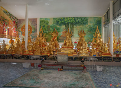 Wat Chai Mongkhon Buddha Images (DTHSP0185)