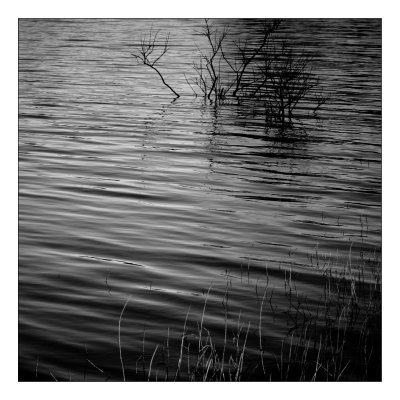 Ripples in Lake Wister