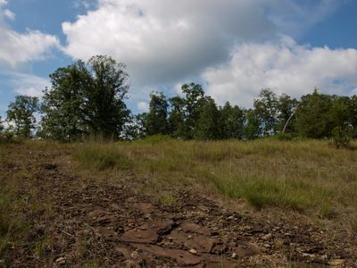 Serpentine Barrens