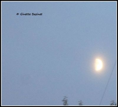 Pourquoi Lune tu sembles bouder dans ton coin ce soir ? On croirait que tu es voile.