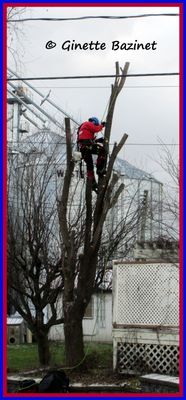 g13/00/1079800/3/174169957.286e8196.JPEG