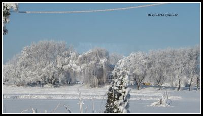 Le 6 dcembre, c'tait le sol, les arbres, les fils qui taient blancs...