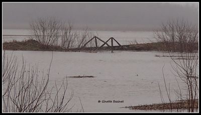 On ne s'attendait pas  cela ces jours-ci ??? Nous ne sommes pas au printemps ???