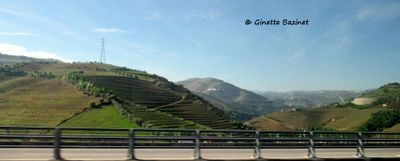valle du Haut Douro