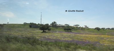 g13/00/1079800/3/174530374.a4a275f8.JPEG