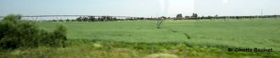 g13/00/1079800/3/174536807.922ff597.JPEG