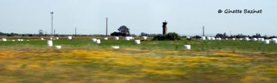 g13/00/1079800/3/174536808.40d823b7.JPEG