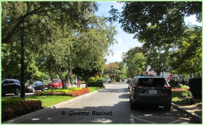 Niagara Falls, Niagara-on-the-Lake, Toronto, Rockport