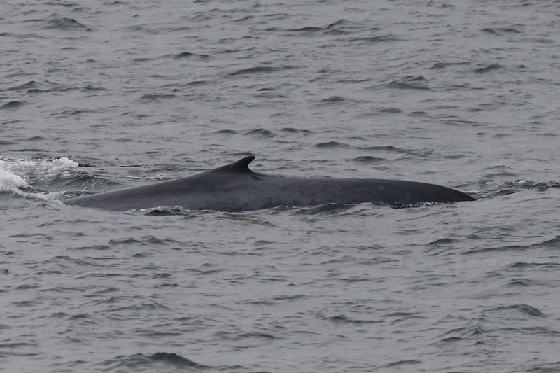 AGS12605.JPG