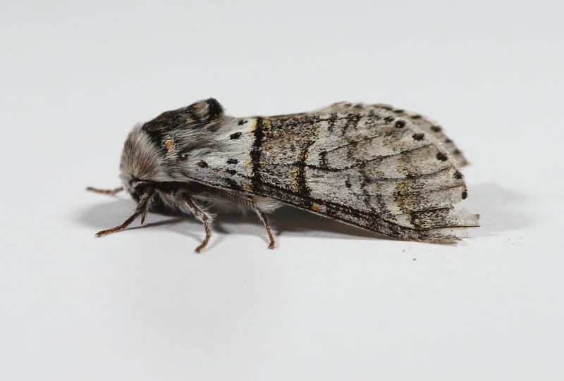 AGS15599.JPG