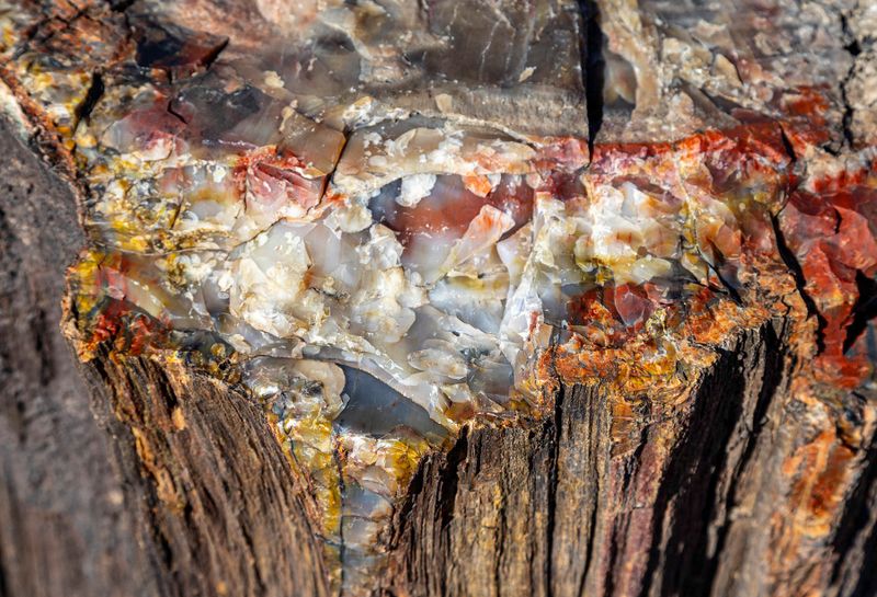 Arizonas Petrified Forest National Park