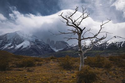 Torres del Paine National Park