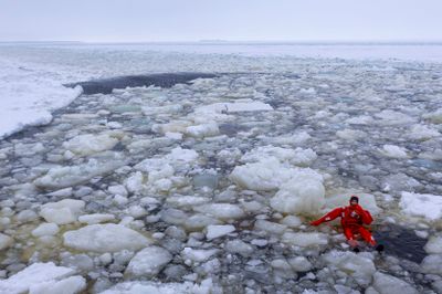 swimming in icy Arctic sea 