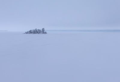  the  frozen Bothnian Sea 