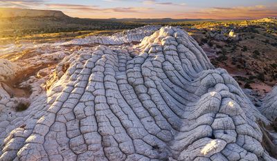 the Brain rock