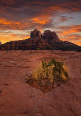 Sedona