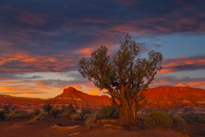 Paria River Canyon  sunset