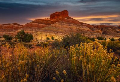 Paria River Canyon sunset