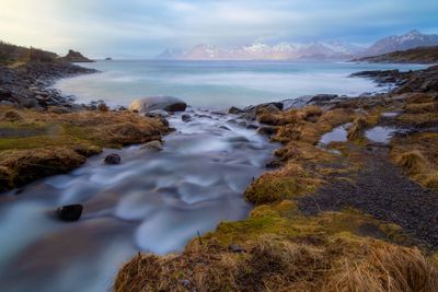 Rorvik beach
