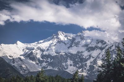 Featured Gallery