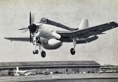 Gannet