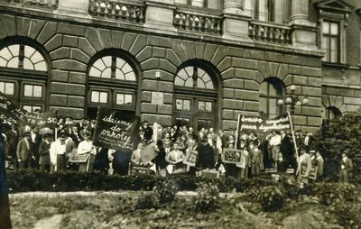 Crowd with Signs 2  
