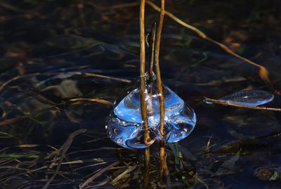 Ice Formation
