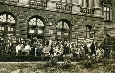 Crowd with Signs 2