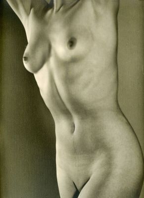 Torso (nsfw)