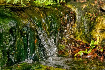 Falling Water