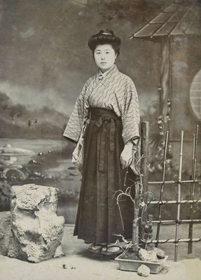 Japanese Lady 