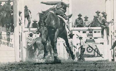 Bareback Bucking  